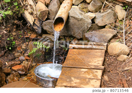 南八ヶ岳　青年小屋テント場の水場　乙女の水 80713546