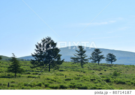 霧ヶ峰　長野県霧ヶ峰高原 80714187