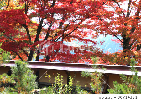 秋の福満虚空蔵尊円蔵寺（福島県・柳津町） 80714331