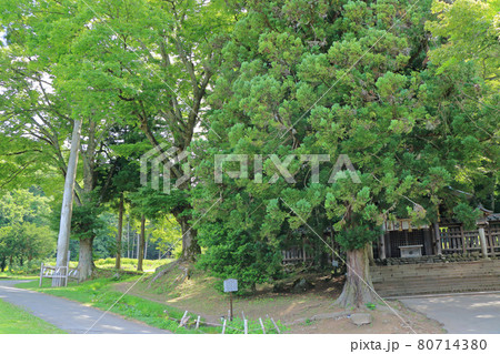 諏訪大社前宮　拝所と御柱 80714380