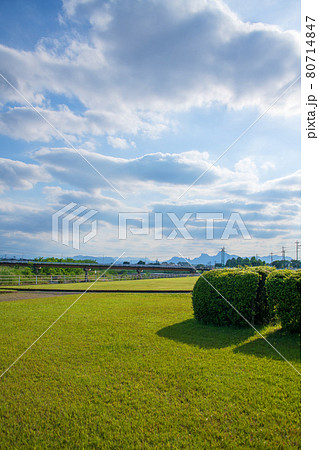 碓氷川河川敷 妙義山方向 西毛総合運動公園付近 初夏の風景 碓氷川河川敷 妙義山方向 西毛総合運動公園付近 初夏の風景 80714847