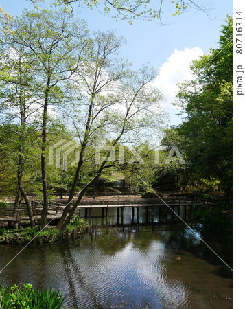 縦位置で撮った小さな湖にかかる橋 80716314
