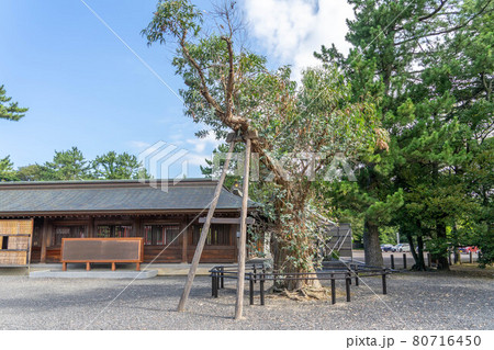 気比神宮 気比神宮 80716450