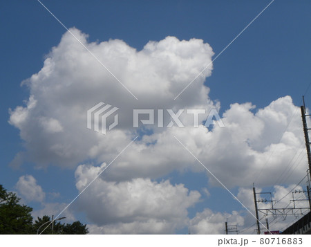 こじま花の会花畑から見た梅雨明けの青空と白い雲 こじま花の会花畑から見た梅雨明けの青空と白い雲 80716883