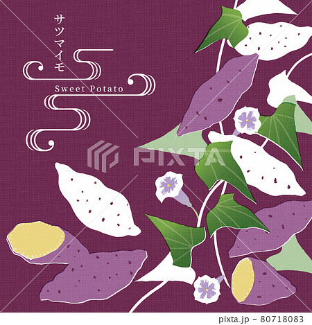 さつまいものイラスト-2 /手ぬぐい風/和柄 80718083
