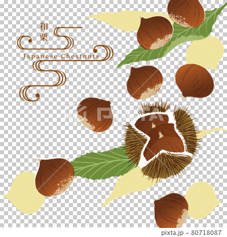 栗のイラスト-1 /手ぬぐい風/和柄 栗のイラスト-1 /手ぬぐい風/和柄 80718087
