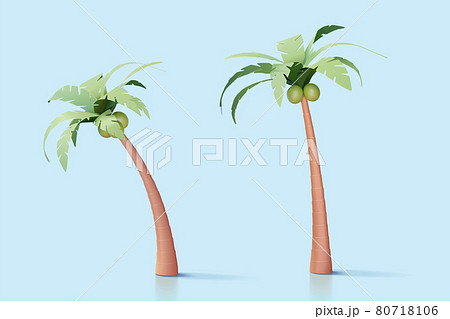 3d palm tree collection 3d palm tree collection 80718106