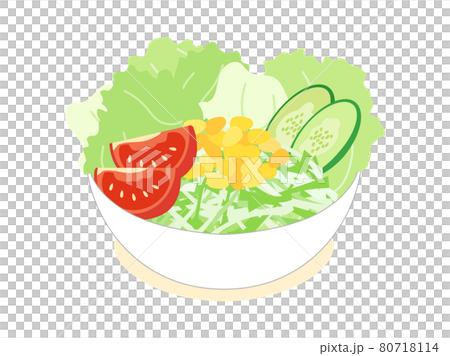野菜たっぷりのサラダのイラストのイラスト素材