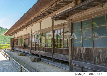 萬徳寺 80718142