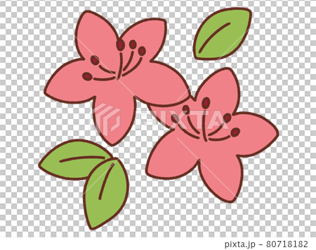 つつじのイラスト素材
