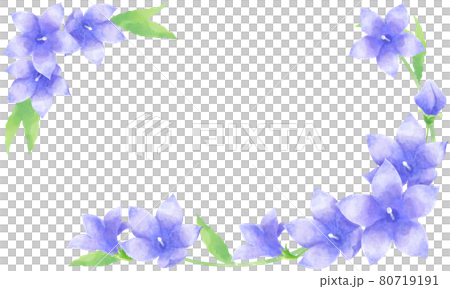 水彩風格,桔梗花裝飾材料插圖(橫置) 水彩風格,桔梗花裝飾材料插圖(橫置) 80719191