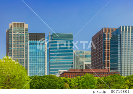 新緑の木立と丸の内ビル群 東京都市風景 新緑の木立と丸の内ビル群 東京都市風景 80719301