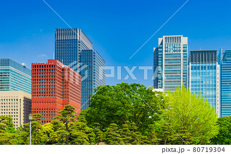 新緑の木立と丸の内ビル群 東京都市風景 新緑の木立と丸の内ビル群 東京都市風景 80719304