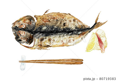 水彩色鉛筆で描いた鯖の開き（焼き魚）のイラストのイラスト素材