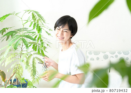 観葉植物の手入れをする女性 80719432