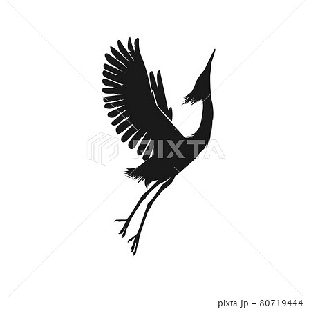 Heron or Stork Bird Silhouettes 80719444