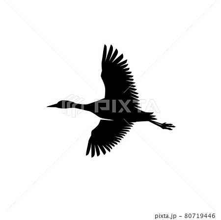 flying Heron and Stork Bird Silhouettes flying Heron and Stork Bird Silhouettes 80719446