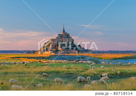 Mont Saint-Michel in France 80719514