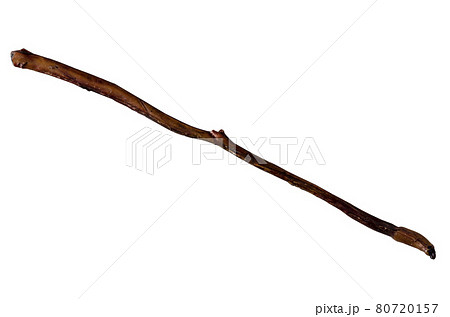 Dried bully stick king size. 80720157