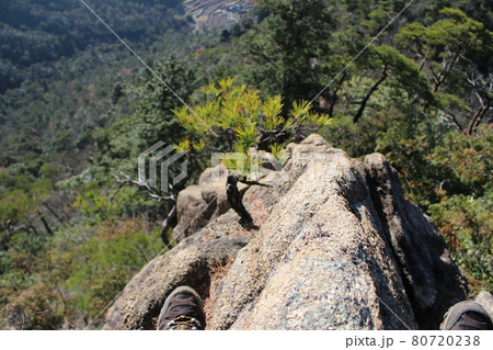 広島県にある鎌倉寺山の登山道 80720238