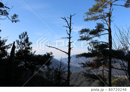 広島県にある鎌倉寺山の登山道 80720246