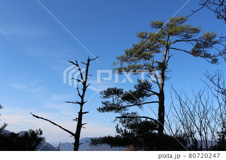 広島県にある鎌倉寺山の登山道 広島県にある鎌倉寺山の登山道 80720247