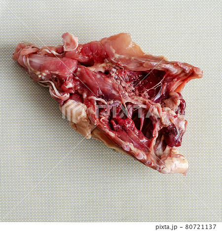 A demonstration of a raw chicken skeleton on a white textured background, part 2 of 2. A demonstration of a raw chicken skeleton on a white textured background, part 2 of 2. 80721137