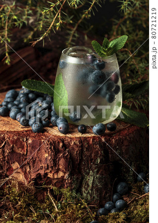 Gin and Tonic cocktail with blueberry and mint. 80721219