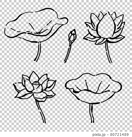 墨絵風のシンプルな線画の睡蓮の花と葉のベクターイラストセットのイラスト素材