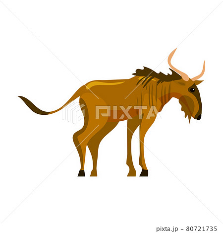 Gnu Wildebeest animal african, wildlife creature. Vector illustration cartoon style isolated 80721735