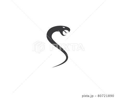 Snake logo template 80721890