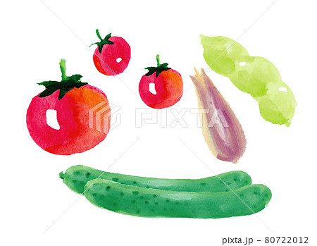 夏野菜 セット 水彩のイラスト素材