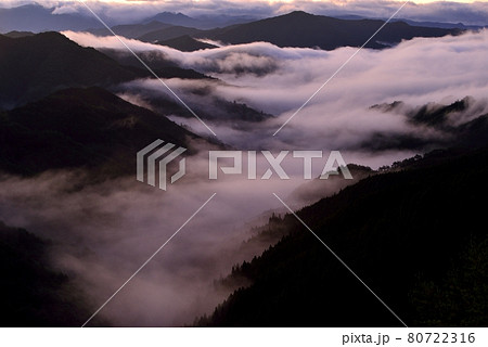 野迫川村の雲海 80722316
