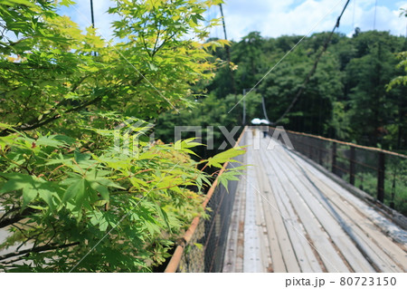 夏の関川村鷹ノ巣 吊り橋 夏の関川村鷹ノ巣 吊り橋 80723150