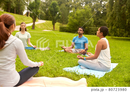 group of people doing yoga at summer park group of people doing yoga at summer park 80723980