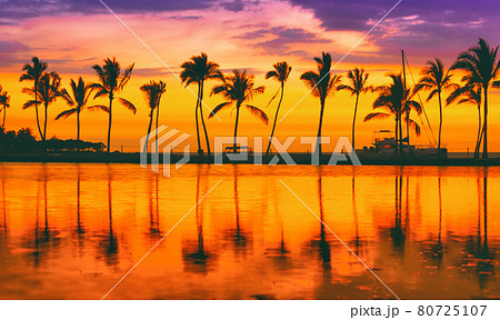 Paradise beach travel destination on Caribbean island, summer vacation dream background of palm trees silhouette reflection on calm water sea panorama Paradise beach travel destination on Caribbean island, summer vacation dream background of palm trees silhouette reflection on calm water sea panorama 80725107