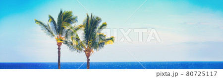 Beach travel Summer banner background of blue ocean and palm trees panorama, tropical Caribbean travel destination. Horizontal copy space header 80725117