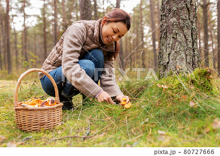 young woman picking mushrooms in autumn forest 80727666