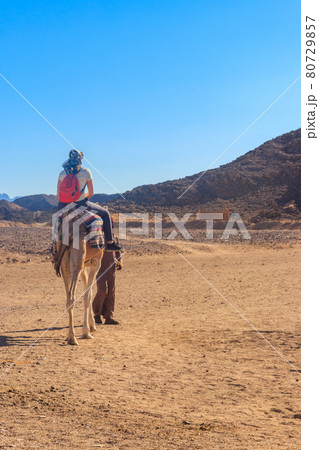 Young woman tourist riding camel in Arabian desert, Egypt Young woman tourist riding camel in Arabian desert, Egypt 80729857