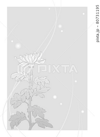 菊の花の喪中はがき モノクロ文字無し のイラスト素材 菊の花の喪中はがき モノクロ文字無し のイラスト素材