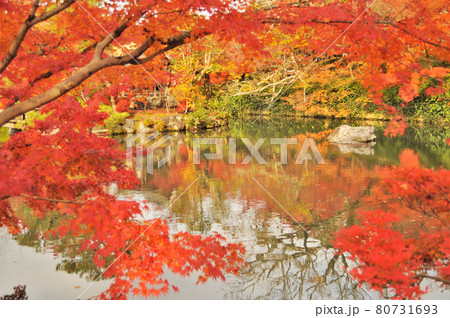 京都　永観堂禅林寺の紅葉と放生池に映えるもみじ 80731693