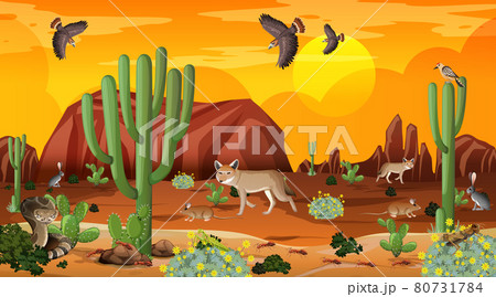 Desert forest landscape at sunset time scene with wild animals Desert forest landscape at sunset time scene with wild animals 80731784