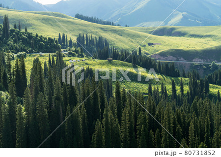 Mountains with a cloud day. 80731852