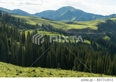 Mountains with a cloud day. 80731853