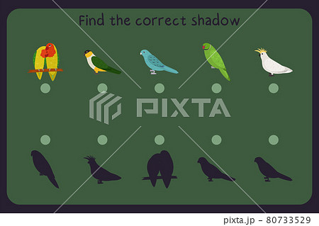Matching children educational game with parrots - lovebird, black headed, barred parakeet, rose ringed, cockatoo. Find the correct shadow. Vector illustration. 80733529
