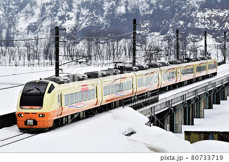 E653系 快速「十日町雪まつり号」 E653系 快速「十日町雪まつり号」 80733719