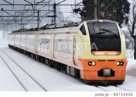 E653系　快速「十日町雪まつり号」② 80733938
