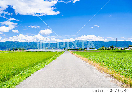 松本市郊外の田園風景 80735246