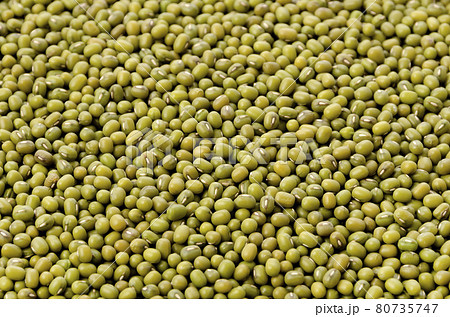 緑豆、八重生、文豆、ムング豆 80735747