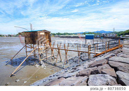 有明海の干潟 くもで網漁 櫓 佐賀県鹿島市 有明海の干潟 くもで網漁 櫓 佐賀県鹿島市 80736050
